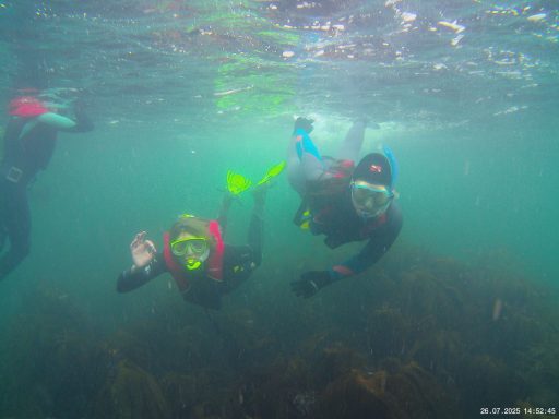 Two Snorkellers below the surface